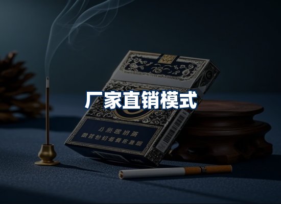 专业团队办公环境